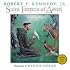Saint Francis of Assisi: A Life of Joy