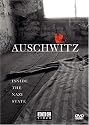 Auschwitz - Inside the Nazi State