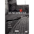 Auschwitz: Inside the Nazi State