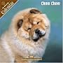 Chow Chow 2008 Wall Calendar by Pet Prints