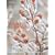 The Winter Garden: Create a Garden That Shines Through the Forgotten Season