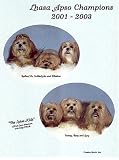 Lhasa Apso Champions, 2001-2003