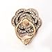 ABC Universal Finger Stand Bracket Buckle Rose Ring Stander Phone Holder (Black)