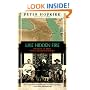 Like Hidden Fire: The Plot to Bring Down the British Empire