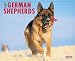 Just German Shepherds 2007 Calendar (Just)
