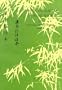 Chinese Character Exercise Book; for Practical Chinese Reader II (Book II)