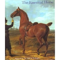 The Essential Horse