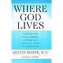 Where God Lives: The Science of the Paranormal and How Our Brains Are Linked to the Universe
