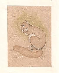 Indian Art Miniatures India Folk Paintings Drawings & Water Color on Paper 5.5 x 8 inches (minianimal027)