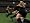 Rugby 2005 (PS2)