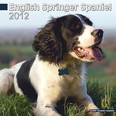 Kalender 2012 English Springer Spaniel - ESS