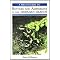 Bird & Wildlife Guides to Australia & Oceania