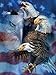 Patriotic Eagles 1000 pc Jigsaw Puzzle