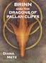 Brinn and the Dragons of Pallan Cliffs: Prophecy of the Dragons Book 2 (Prophecy of the Dragons, 2)