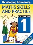 Developing Numeracy:Maths Skills and Practice 1 CD Rom: Maths Skills: Year 1 (Developings)