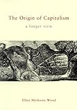 The Origin of Capitalism: A Longer View
