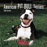 American Pit Bull Terriers 2005 Mini Wall Calendar