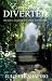 Excessively Diverted: The Sequel to Jane Austen's Pride and Prejudice