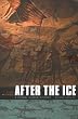 After the Ice: A Global Human History 20,000-5000 BC