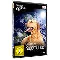 Tierisch Extrem Vol 3 - Die Top 10 Superhunde
