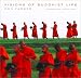 Book Visions of Buddhist Life
