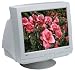 NEC AccuSync 90 19" Monitor (PC/Mac)