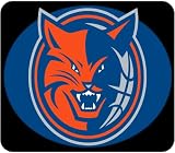 Charlotte Bobcats Mouse Pad