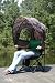 Folding Outdoor Camping Chair Tent Chair Sportsman Camouflage