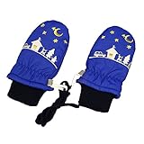 アスナロ（グローブ） スノーミトン ベビー 男の子 裏フリース スキー手袋 刺繍入り グローブ1-2才 ブルー