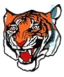 Patch- Tiger Head