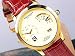 Steinhausen Stahlhammer Dual Time Automatic Quartz Watch- Gold TW781G
