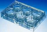 Corning Transwell Permeable Supports; 24 well; 8��m