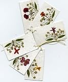 Handmade Gift Tags - Real Flower Gift Tags or Tiny Note Cards - Set of 6 Tags with Golden Thread; Good for Scrapbooks, Greeting Cards, Easter Baskets, Etc.