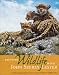 Painting Wildlife With John Seerey-Lester