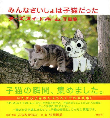 Cover image : みんなさいしょは子猫だった チーズスイートホーム写真集