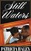 Still Waters (Kimani Romance)