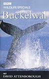 Eigenschaften Komplett Video  / Wildlife Specials - Buckelwal