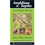 Amphibians & Reptiles of the North Woods (North Woods Naturalist Guides)