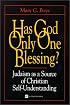 Has God Only One Blessing?: Judaism As a Source of Christian Self-Understanding (Stimulus Book)