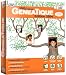 Généatique Classique - Edition 2004