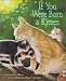If You Were Born A Kitten