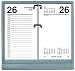 At-A-Glance(R) QuickNotes(R) 2003 Daily Refill, 3 1/2in. x 6in.