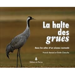 La halte des grues : Sous les ailes d'un oiseau nomade