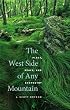 The West Side of Any Mountain: Place, Space, and Ecopoetry