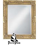 Review PosterPanda.com  / 16x20 - Ornate Antique Gold FRAMED MIRROR