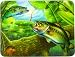 River's Edge Tempered Glass Cutting Board with an Image of a Beautiful Bass Swimming in a Clear Pond (12 x 16-Inch)