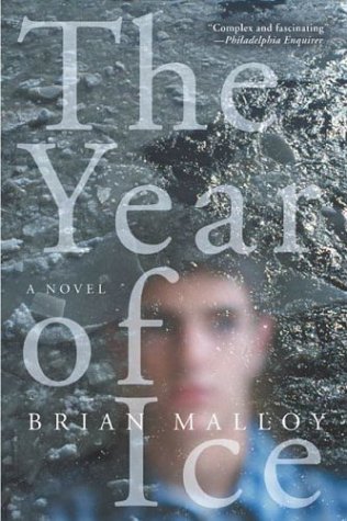 The Year of Ice: A Novel