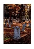 Autumn: A New England Journey