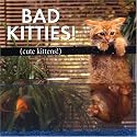 Bad Kitties: Celebrating Good Times And Bad Behavior