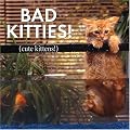 Bad Kitties: Celebrating Good Times And Bad Behavior